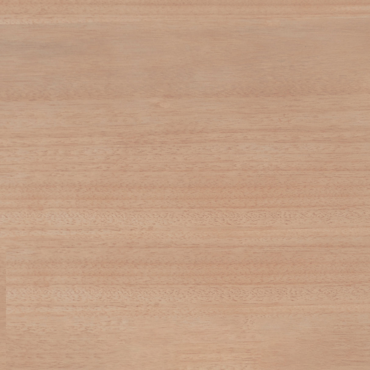 Daly Side Chair (Set of 2)