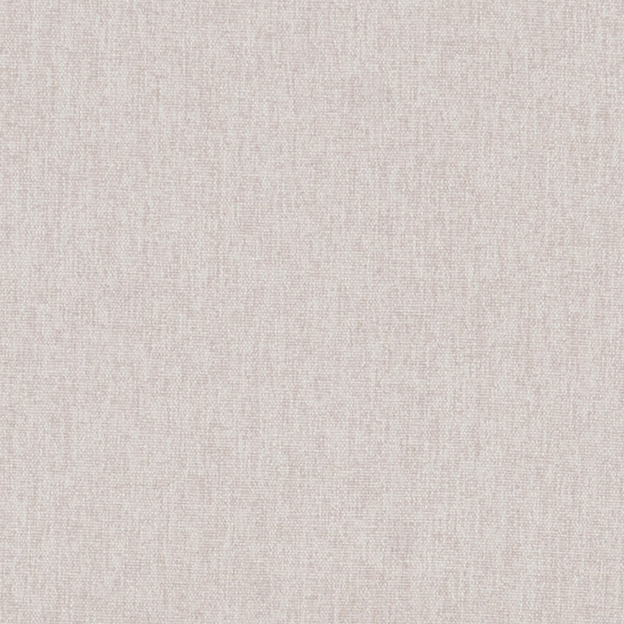 Daly Side Chair (Set of 2)