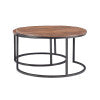 Wynter Brown Nesting Coffee Tables