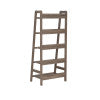 Tracy Gray Ladder Bookcase
