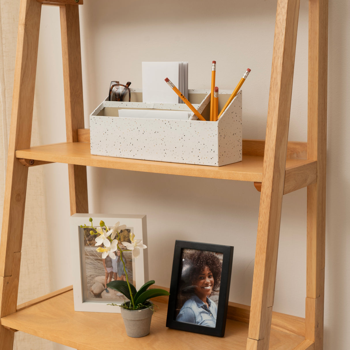 Cosgrove 5 Shelf Ladder Bookcase