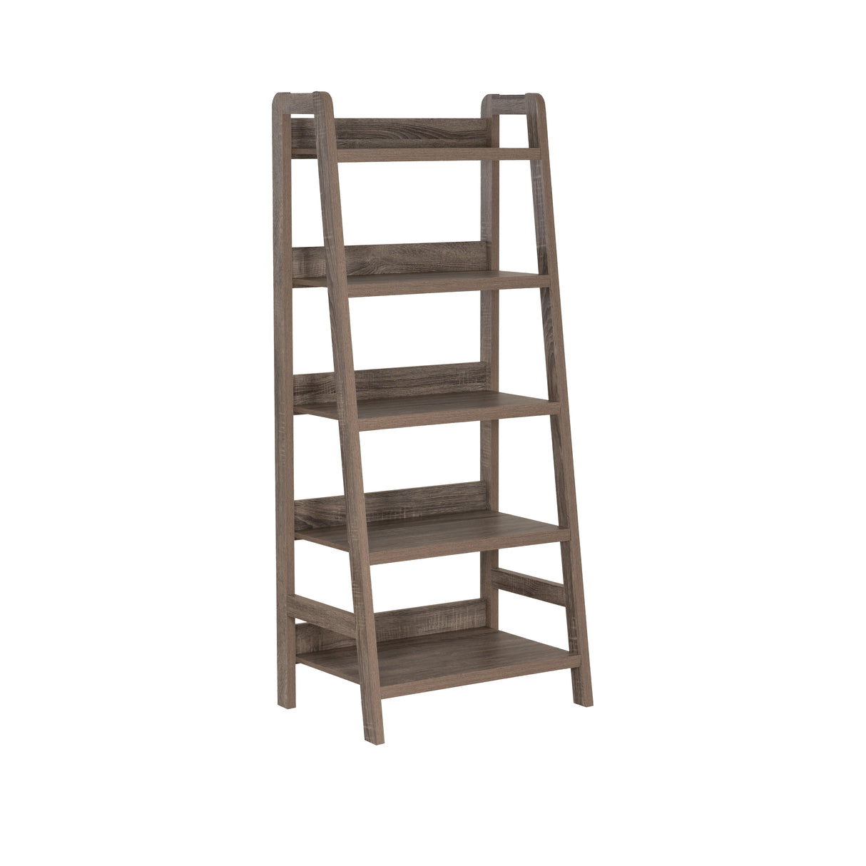 Tracy Gray Ladder Bookcase