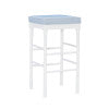 Jackson Bar Stool (Set of 2)