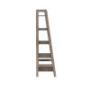 Tracy Gray Ladder Bookcase