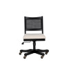 Beaux Cane Back Office Chair