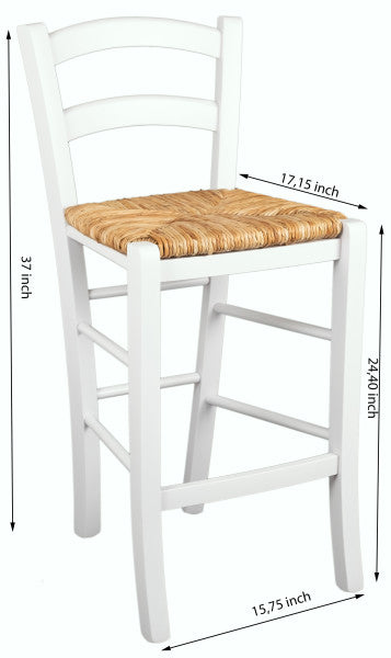 Venezia Counter Stools (Set of 2)