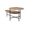 Cleo Natural Black Two-Tiered Coffee Table