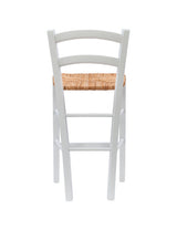 Venezia Counter Stools (Set of 2)