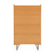 Perry Ash Bookcase