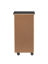 Rudy Rolling Storage Cart
