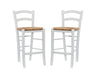 Venezia Counter Stools (Set of 2)