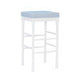 Jackson Bar Stool (Set of 2)