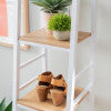 Austin Ash Veneer Hall Tree