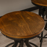 Haywood Adjustable Height Backless Stools (Set of 2)