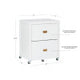 Peggy White File Cabinet