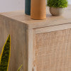 Raphael Cane Cabinet Two Sliding Doors